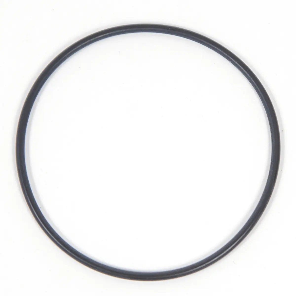 O-ring 7289755
