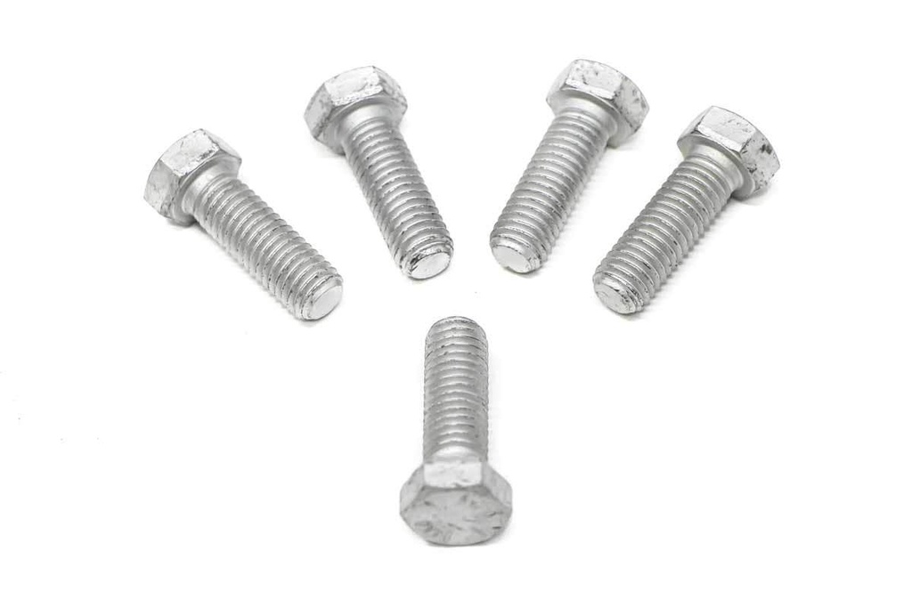 [17C824] Bolt 5 17C824