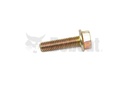 Tornillo 31C624
