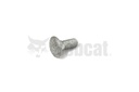 Bolt sq neck rnd hd 37C512
