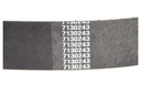 Belt drive 7130243