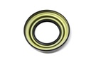 Seal motor 6705847