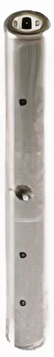 [40022FM200] King pin 40022FM200