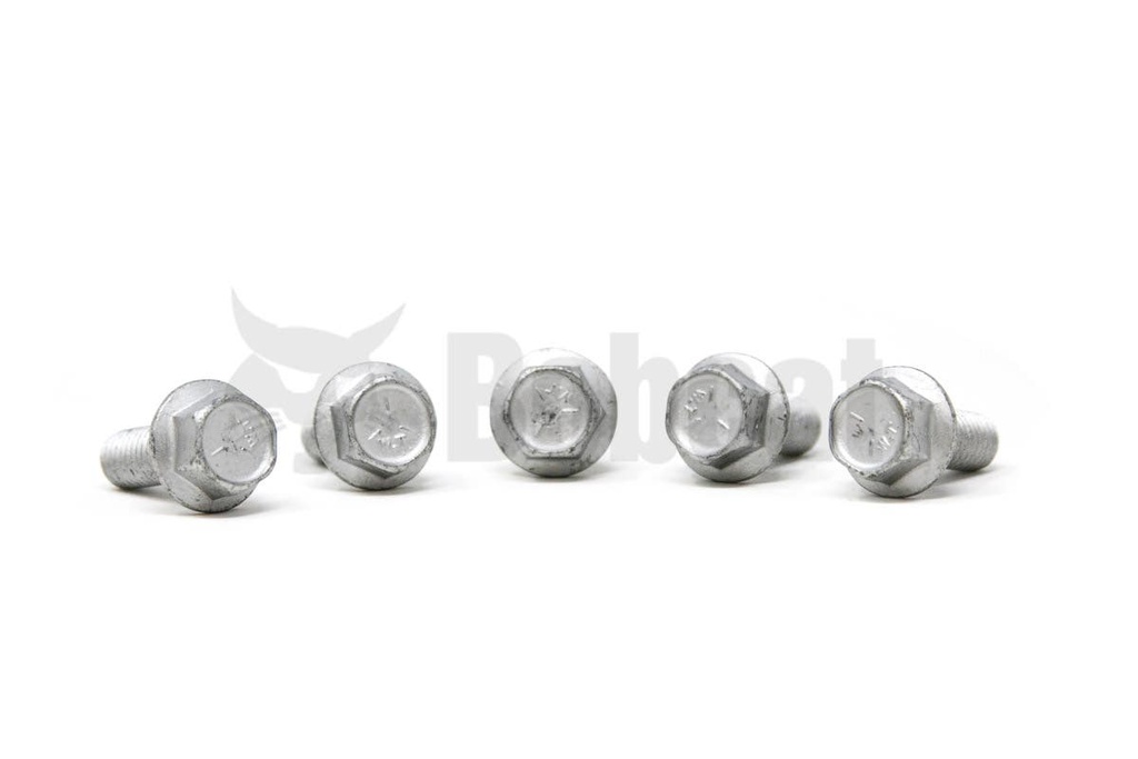 [35C616] Screw flanged head 35C616