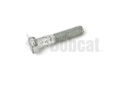 Bolt 17C628