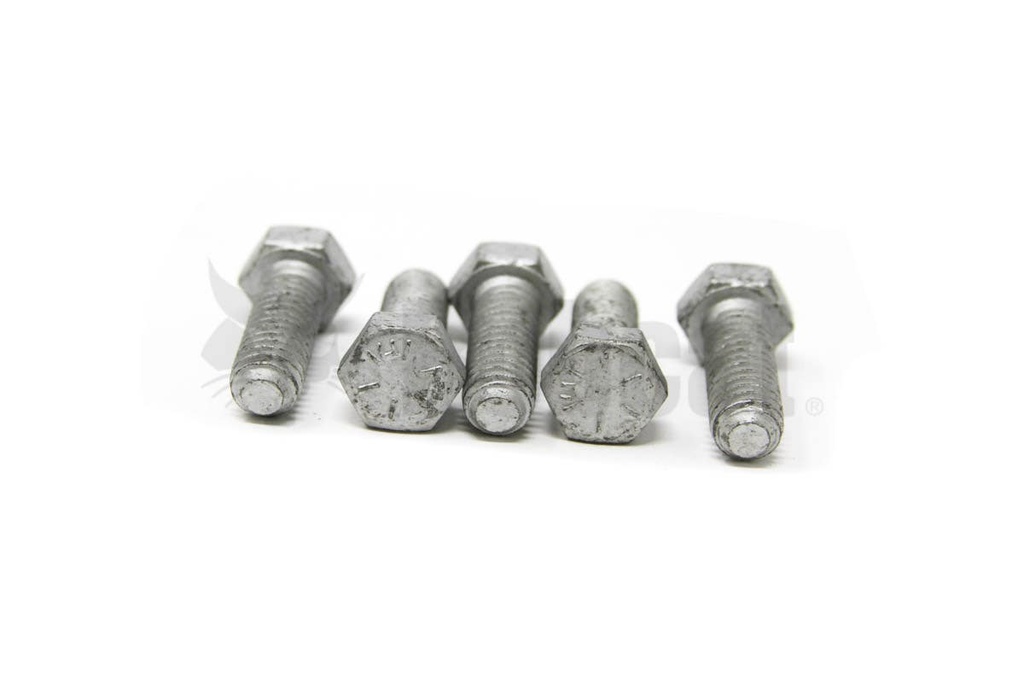 [17C616] Bolt 5 17C616