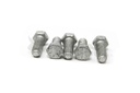 Bolt 5 17C616