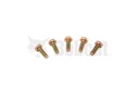 Bolt 5 17C412