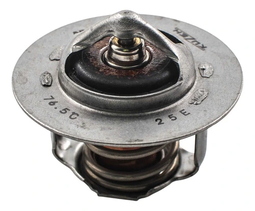 [21200F310A] Termostato 21200f310a 21200F310A