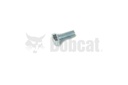 Screw hex head cap 4CM820
